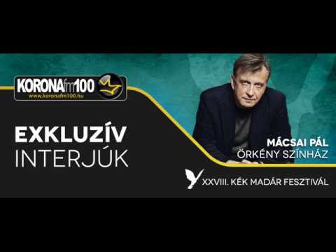 Kép