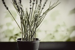 Home_0004