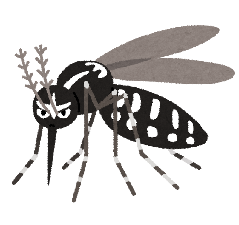 犬のフィラリア予防薬の期間はいつなの 症状や予防薬も解説