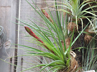 こんな天気だからこそ 百合が原公園