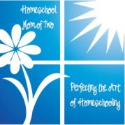 Perfecting the Art of Homeschooling