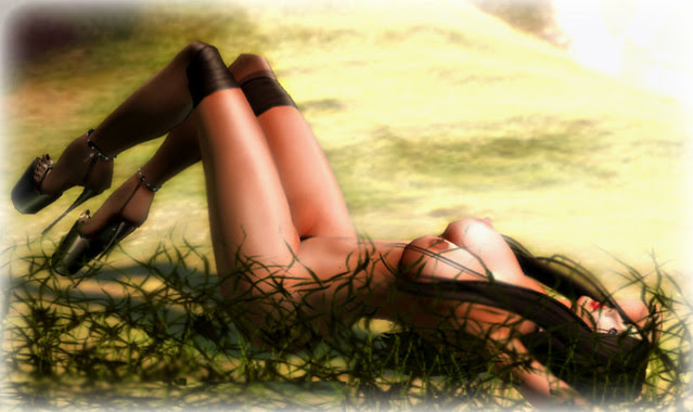 Sere in Grass