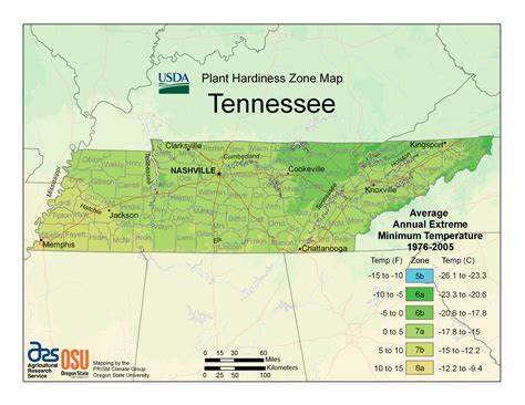 Many plant profiles and guides are written with the united states of america's hardiness zones in mind. USDA Unveils New Plant Hardiness Zone Map - Tennessee Home