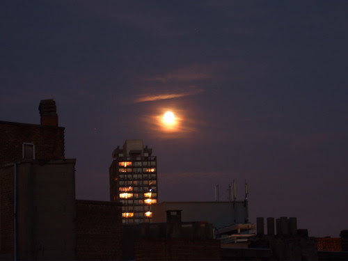 DSCF4171