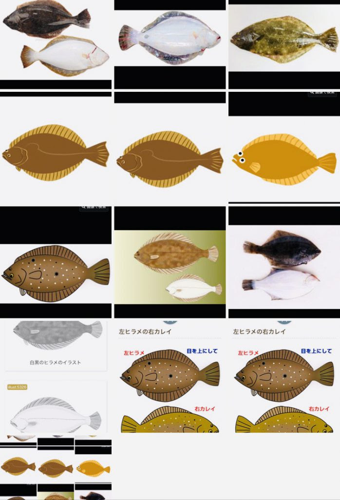 ヒラメ オセロつくりま す 魚の駅