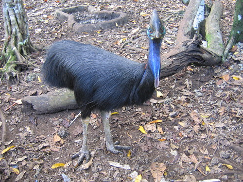 http://farm1.static.flickr.com/10/11736305_623898f990.jpg?v=0