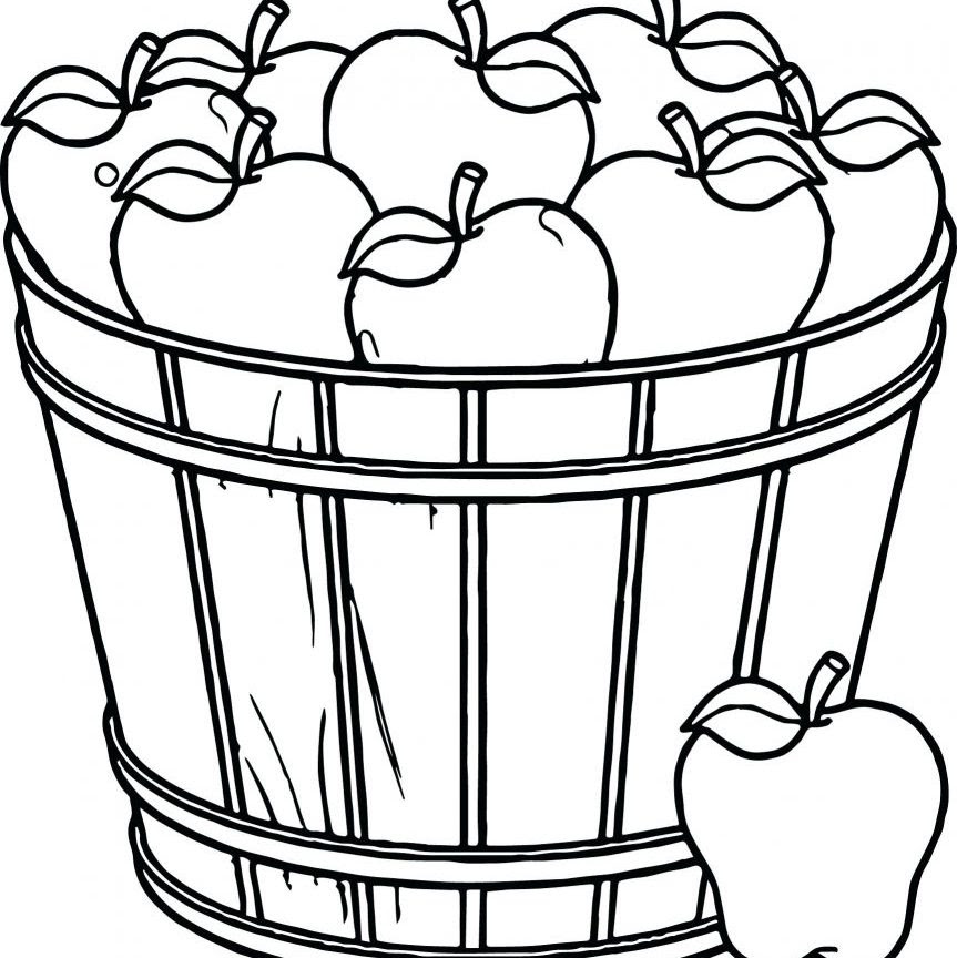 Download Apple Fruit Drawing at GetDrawings | Free download