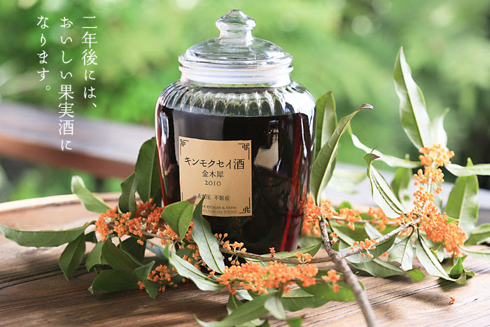 箪笥の果実酒 季節の味をお酒に 作り方のレシピは簡単です