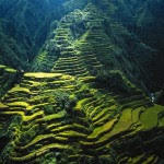 Banaue Rice Terraces