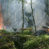 Meteorologisk Institutt : Meteorologisk Institutt Bard Aase Flickr - Hovedtendensen i temperaturutviklingen for norge de siste drøyt 100 år er at det har blitt varmere.
