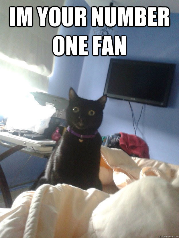 Im Your Number One Fan Overly Attached Cat Quickmeme