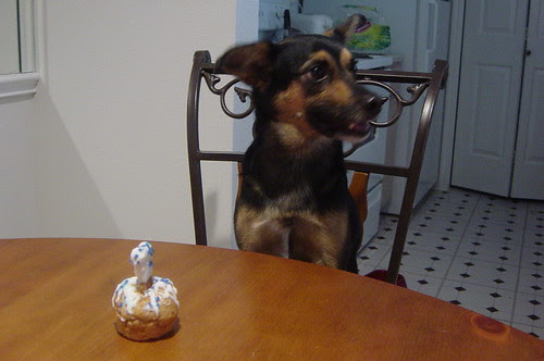 Birthday Boy