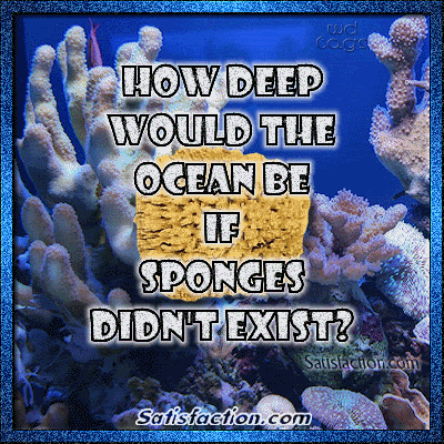 Funny Comments and Graphics for MySpace, Tagged, Facebook