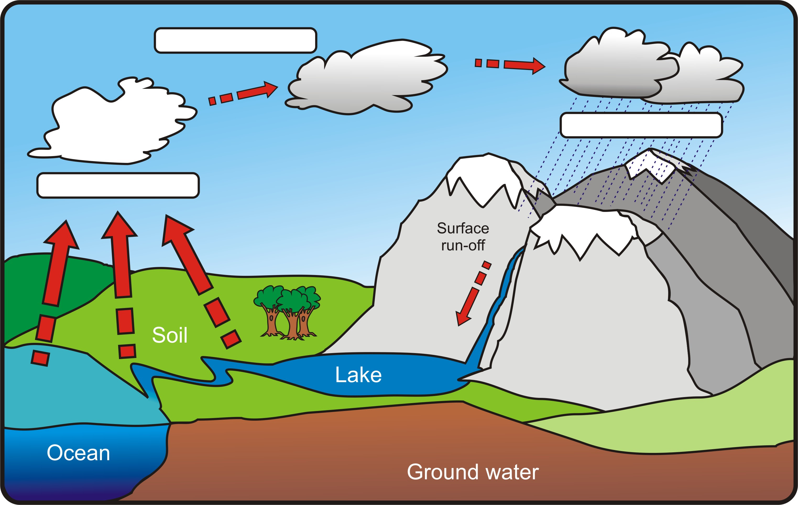 the water cycle - WildWater kads and mads