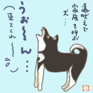 お留守番 ころちゃんブログ 手描きイラスト 雑文