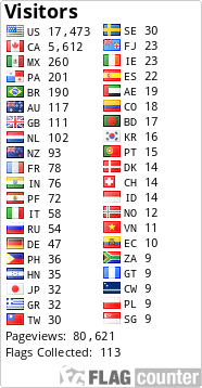 Flag Counter