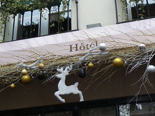 hôtel et renne.jpg