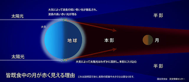 なまずえ鍼灸整骨院