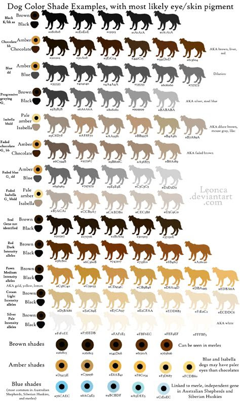 Yellow dog with black nose bbee: dog coat and eye colors by leonca on deviantart schnauzer colors