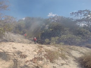 Foco do incêndio foi encontrada em área de duna no bairro de San Vale, na Zona Sul de Natal (Foto: Muriú Mesquita/G1)