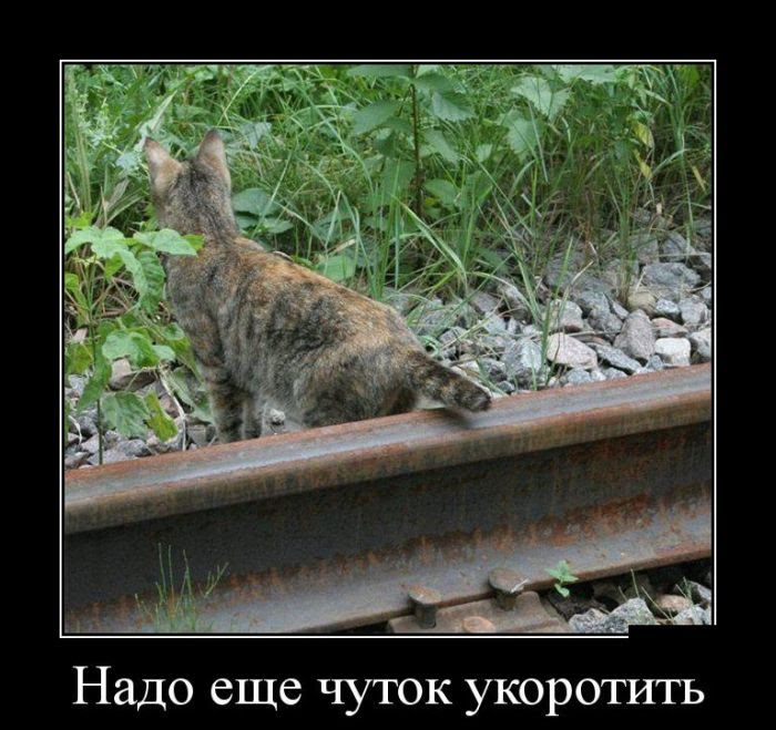 Изумительные Демотиваторы