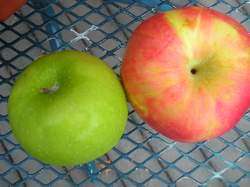 Granny Smith and Fuji Apples