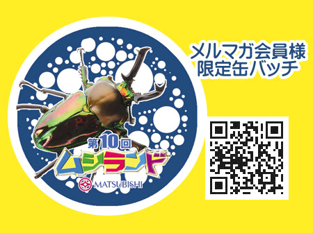 ムシランド 松菱,三重県 ムシランド,津市ムシランド2015,松菱 カブトムシ