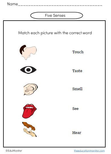 Templates, printables, instructions, and book suggestions are provided for each activity. kindergarten science worksheets edumonitor