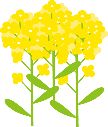 菜の花とみつばちのイラスト 無料イラスト フリー素材