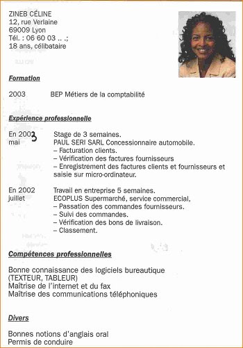 exemple de cv lyceen terminale s