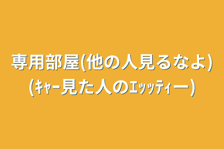 「専用部屋(他の人見るなよ)(ｷｬｰ見た人のｴｯｯﾃｨー)」のメインビジュアル