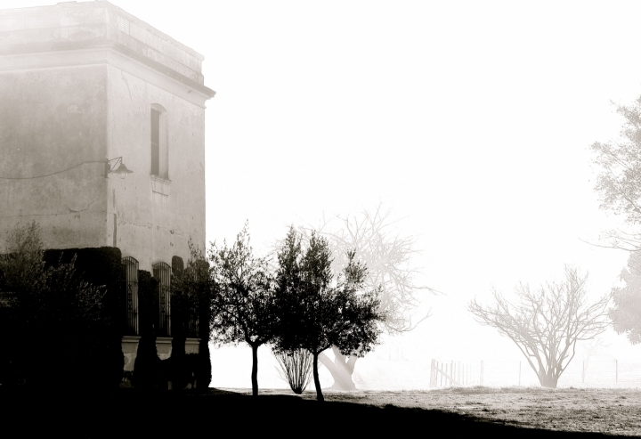 Campagna in luce di palomar