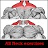 All Neck Exercises4.1