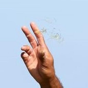 Wind Direction logo
