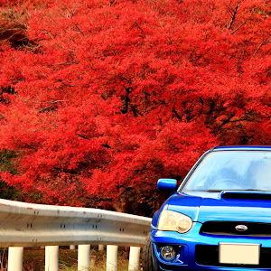 インプレッサ WRX GDA