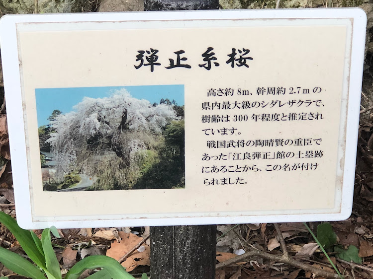 S660のドライブ・しだれ桜・鹿野・変わらないもの・はるに関するカスタム事例の投稿画像4枚目
