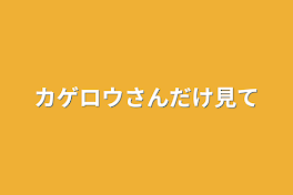 カゲロウさんだけ見て