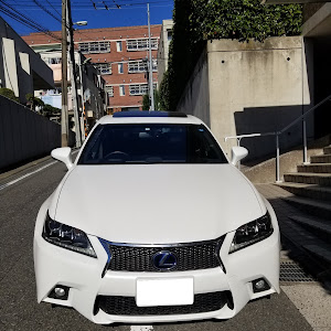 GS GWL10