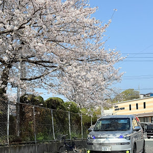 スペイド NSP141