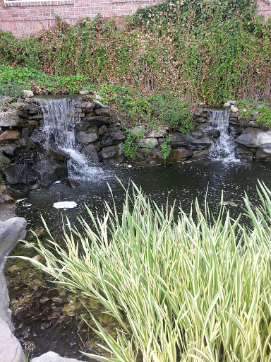 Celebration Hall Waterfall