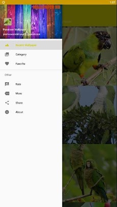 インコの鳥の壁紙hd Androidアプリ Applion