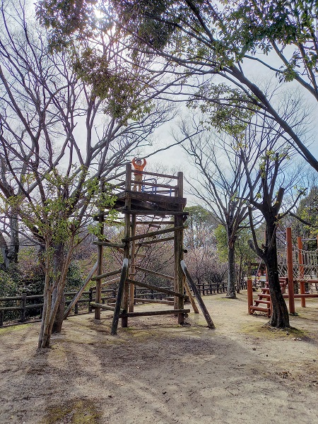 広島県安芸郡坂町 梅も桜も花盛りの横浜公園 Trill トリル