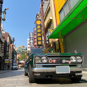 スカイライン