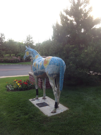 Starry Night Horse