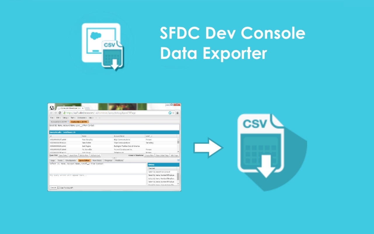 SDFC Dev Console Data Exporter Preview image 3