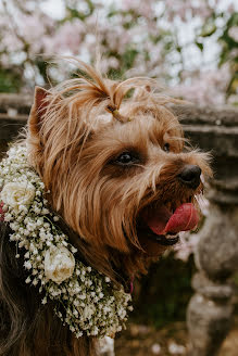 Fotograful de nuntă Fanny Pedraza (fannypedrazafoto). Fotografia din 28 aprilie 2023