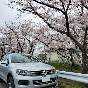 トゥアレグ ハイブリッド