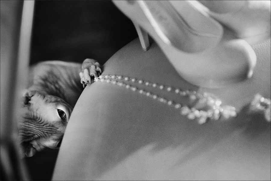 Fotografo di matrimoni Kristina Tararina (ta-kris). Foto del 29 giugno 2015