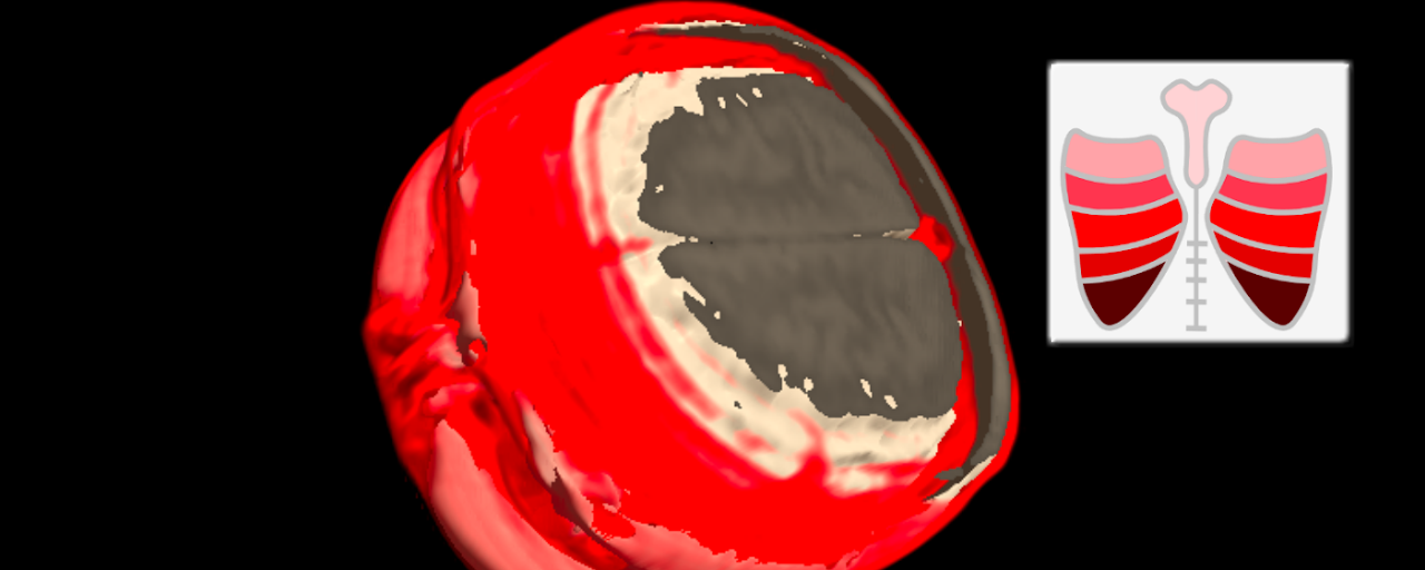 Med3D DICOM Preview image 2