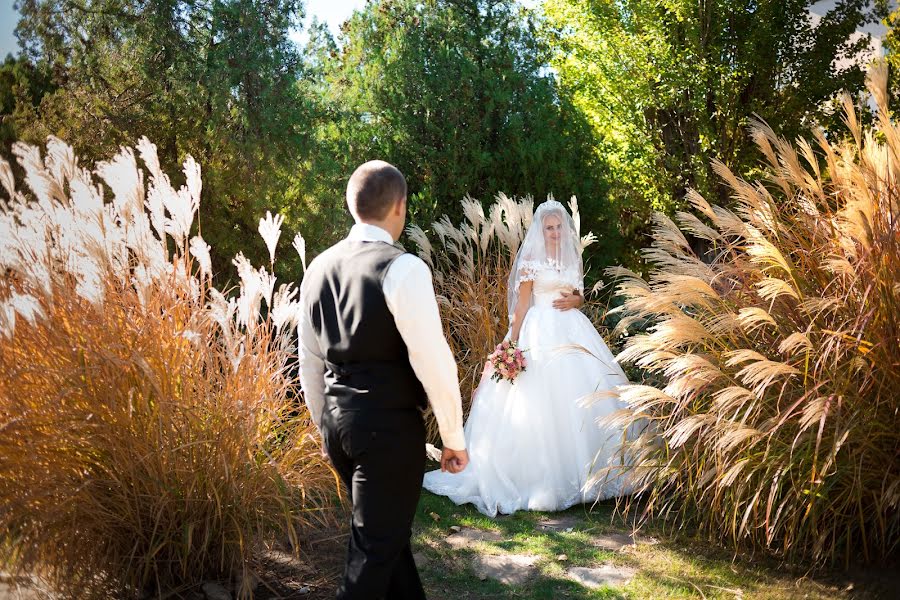 Wedding photographer Yuliya Pekna-Romanchenko (luchik08). Photo of 25 January 2019